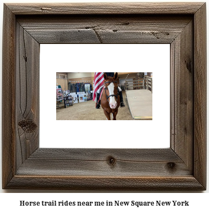 horse trail rides near me in New Square, New York